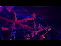 The Chills - The Male Monster From the Id (live)
