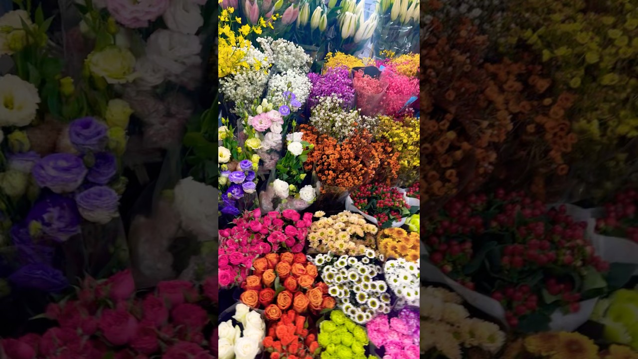 YouTube Short thumbnail