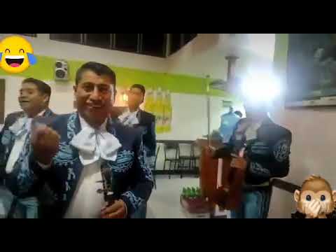 Miniatura de video de Mariachi Playense