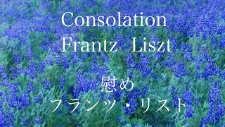 Download lagu 【環境動画】コンソレーション「慰め」フランツ・リスト Consolation・(Franz Liszt) ピアノ演奏・菅野美奈【快適〜癒しのBGM〜5】 mp3 Download lagu 【環境動画】コンソレーション「慰め」フランツ・リスト Consolation・(Franz Liszt) ピアノ演奏・菅野美奈【快適〜癒しのBGM〜5】 mp3
