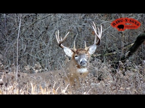BEST Self-Filmed Illinois Deer Hunt Ever - Hunting Rutting Whitetail Bucks