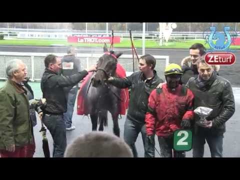 BOLD EAGLE, reçu 8/8, le choix de F. Nivard pour l'Amérique et J.P. GALLORINI - A2TURF.COM