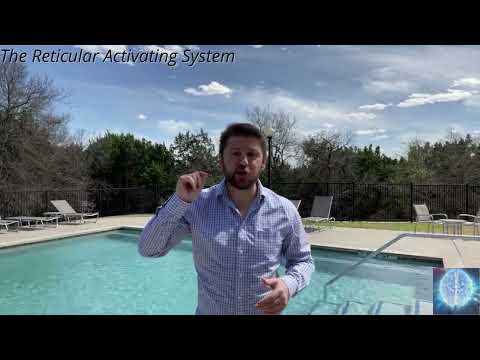 Reticular Activating System - The Mind's Filter for Reality