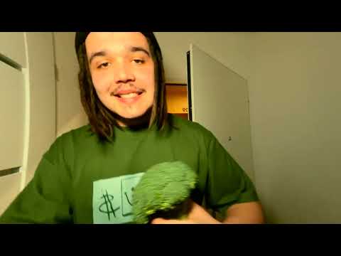 MAVADAKID - MIEDZY TRAPEM I PIENIEDZMI (Official Music Video)