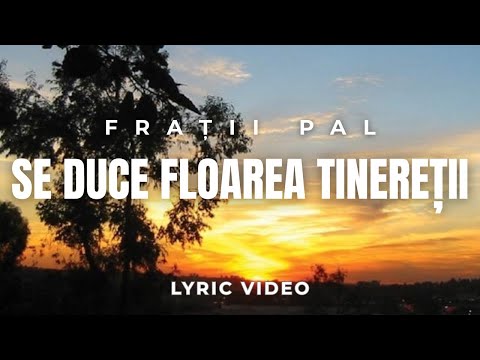 Se duce floarea tinereții - Frații Pal