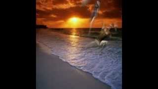 eclipse total del amor