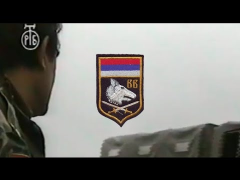 Mirun Vudrag Pirgo-Vukovi sa Vučijaka