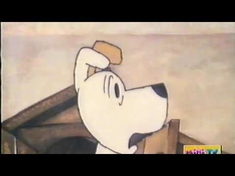 Reksio Die Rasie (Afrikaans)