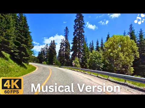 Scenic Drive with Piano Music: Ilgaz Mountain Turkey 4K (Relaxing Drive)