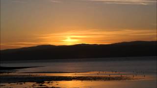 THE SANDPIPERS   SOFTLY AS I LEAVE YOU