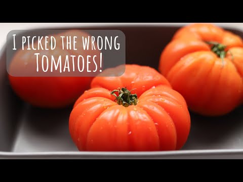 Provence style stuffed tomatoes (gone wrong!)