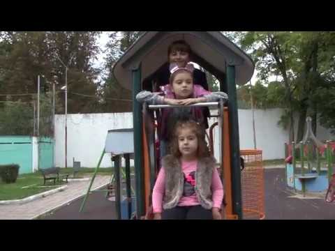 Clara Sav  Amicii mei