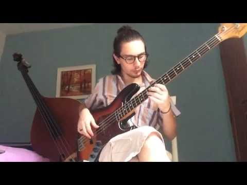 Teymur Phell Solo(Mike Stern)