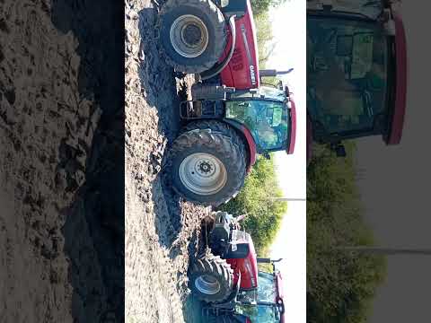 #casehi230#casehi215#case230 #campoargentino #case215 #entrerios #terreno #ombu se enterró la ombú