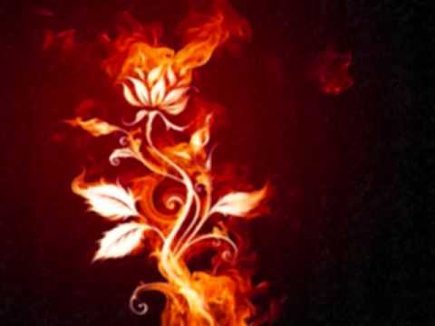 Because its May by Scarlet and Spindly Killers.wmv