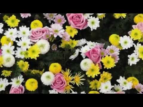 Gerard Drozd 2 CD from Polish Radio Gdansk, Variations op.134. Polish Premiere