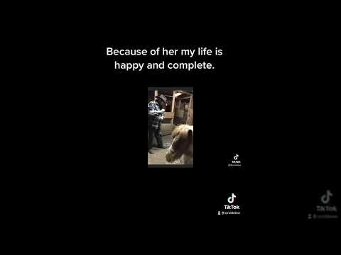 Worlds Greatest Lover - Orville Lee