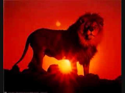 The Lion's Share ~ Dan Fogelberg.wmv