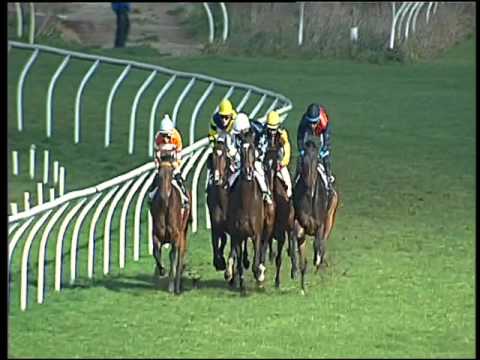 Galoppo 13/02/2016 - 1° corsa