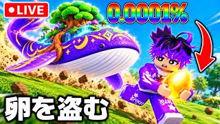 新エリアの卵盗みまくるぞ！！！【ロブロックス】