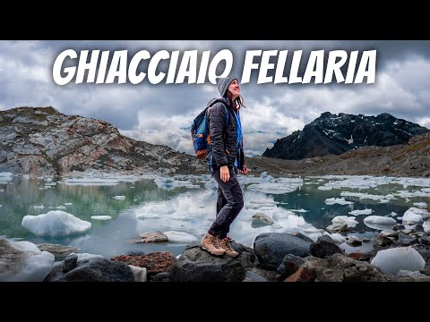 Trekking allo spettacolare ghiacciaio FELLARIA a 2600 mt 🏔️