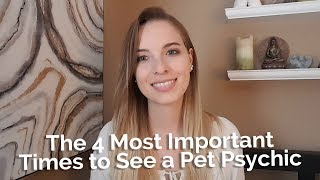 The 4 Most Important Times to See a Pet Psychic