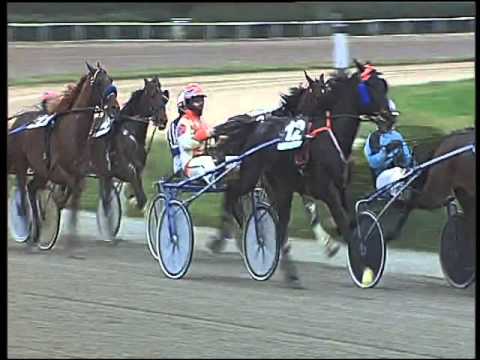 Trotto 14/02/2016 - 1° corsa