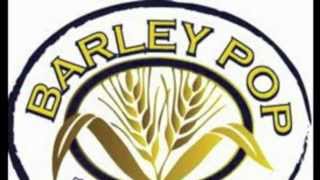 Pub & Restaurant In Milwaukee | Barley Pop Pub & Restaurant