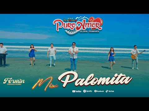 Mix Palomita  -  Agrupacion Puro Amor Video Clip 2025