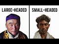 Human Skull Shapes Explained ( Not What you Think ).