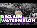 Reclaiming the Watermelon