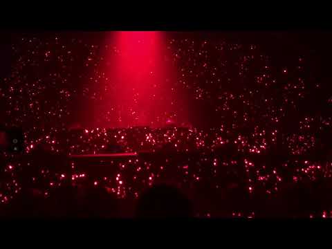 CIREZ D PART 3 at TOMORROWLAND 2019