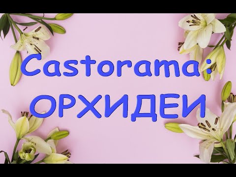 ШИКАРНЫЙ завоз ОРХИДЕЙ:"Castorama".Ура,ПОКУПКИ!17.12.20,Самара,Московское ш.