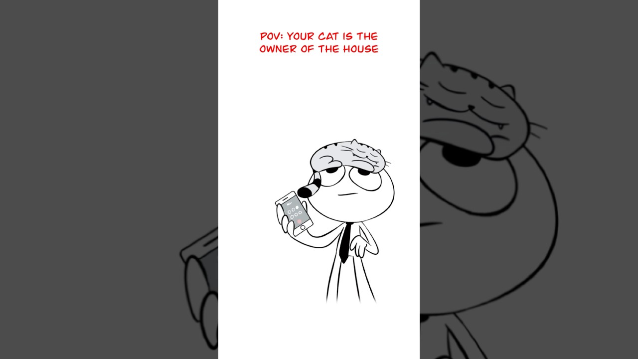 Cats Be Like… 😅 (Animation Meme) #shorts