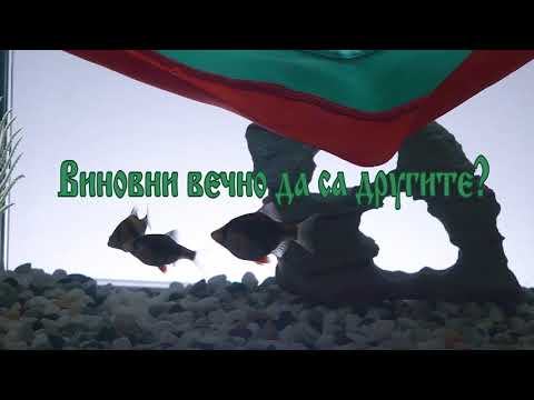 НА ТРИ МОРЕТА   Светльо Витков