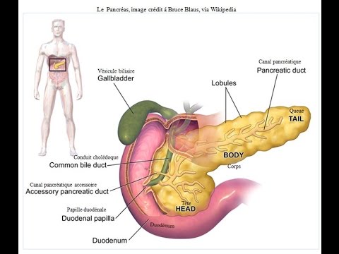 Sintomas do cancer de colo de utero hpv