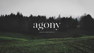 BTS (방탄소년단) "Agony (Euphoria Depressed Ver.)" - Piano Cover