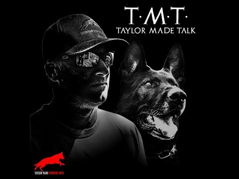 T.M.T. 3:  Importance of Dog Crates for Travel