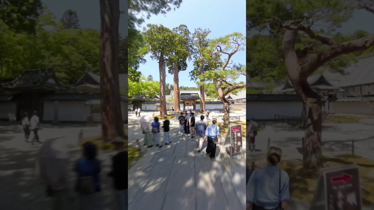 YouTube Short thumbnail