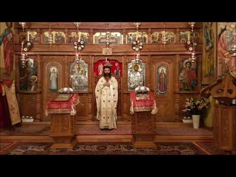 20201213 NICOLAE BALASOIU – PILDA CELOR POFTITI LA CINA