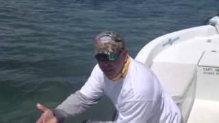 preview picture of video 'March Jensen Beach, FL Snook fishing report - Capt. Greg Snyder'