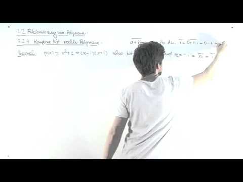Mathematik: Komplexe Nullstellen reeller Polynome - Video Vorlesung