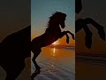 Equine Silhouette