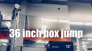 36 inch box jump attempt