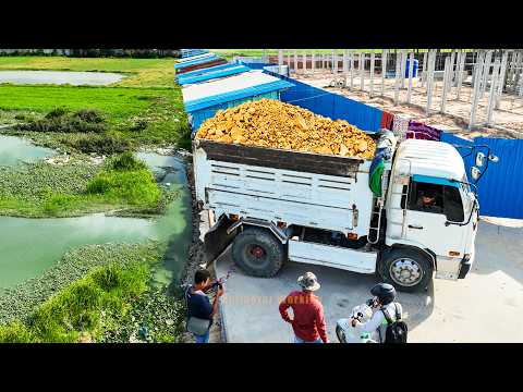 Perfect First Amazing Project.! Landfill On Flooded Area By Skill Dozer Pushing Stone With 5t Truck