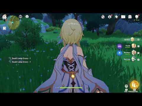 Video preview