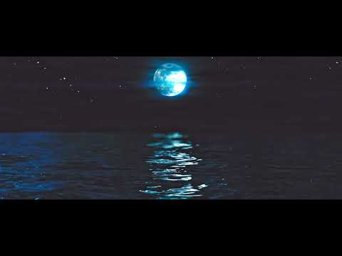 Harel Shachal's Trio - Deep Blue Night