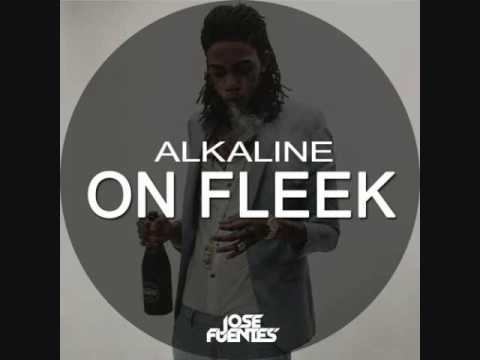 alkaline fleek murco 2k16