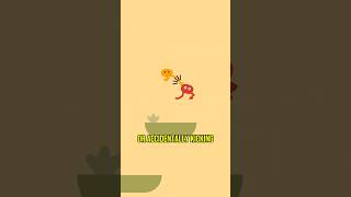 A Delightfully Clumsy Co-Op Game | PikuNiku