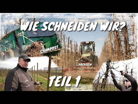 Raddatz Orchard - How do we prune? Winter pruning | Young/Old Orchards | Fallen Leaves Decomposit...